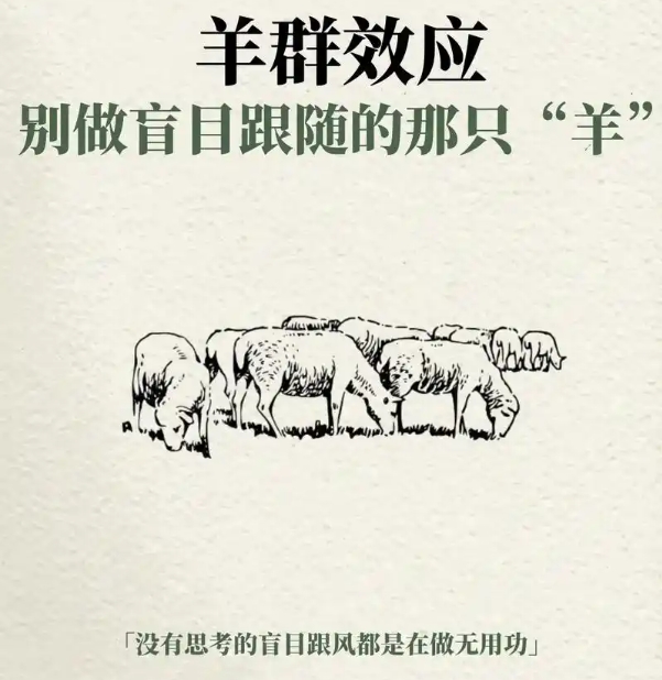 微信截图20250317150954.jpg